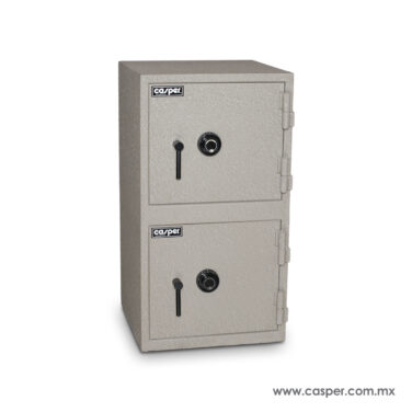Caja Fuerte 2 en 1<br/><span style="color:#f0d843">Mod. 50-50</span>